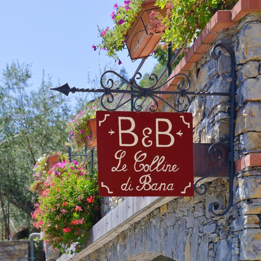 B&B Le Colline Di Bana 카모글리 외부 사진