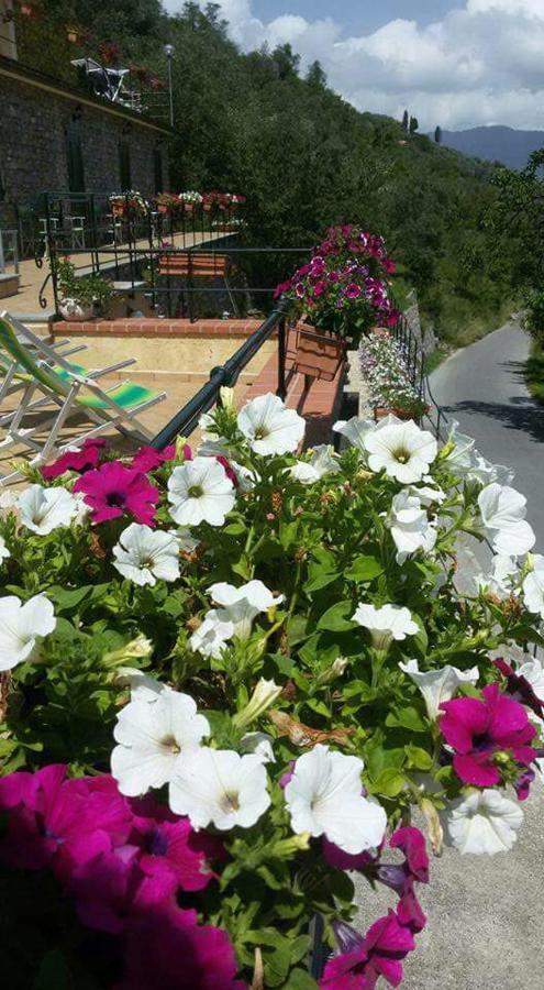 B&B Le Colline Di Bana 카모글리 외부 사진