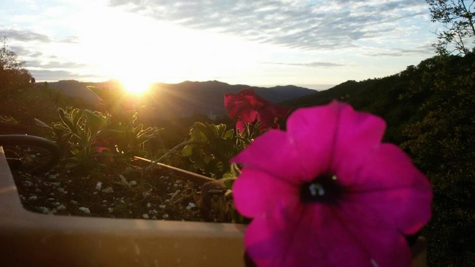 B&B Le Colline Di Bana 카모글리 외부 사진
