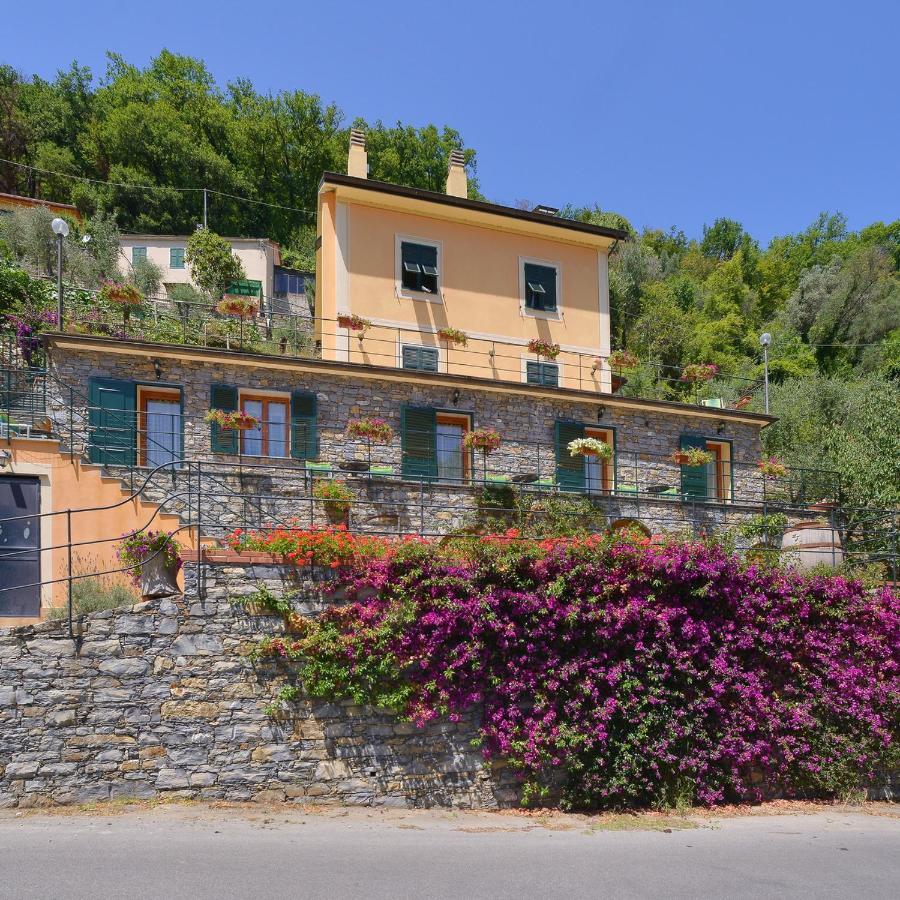 B&B Le Colline Di Bana 카모글리 외부 사진
