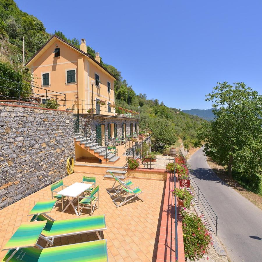 B&B Le Colline Di Bana 카모글리 외부 사진